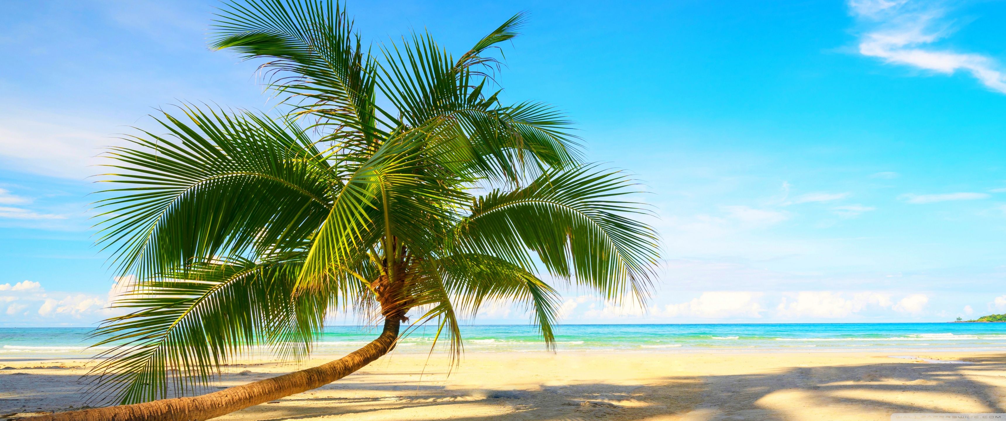3440x1440 Tropical Summer Vacation 4K UHD Wallpaper for UltraHD Desktop and TV : Widescreen and UltraWide Display