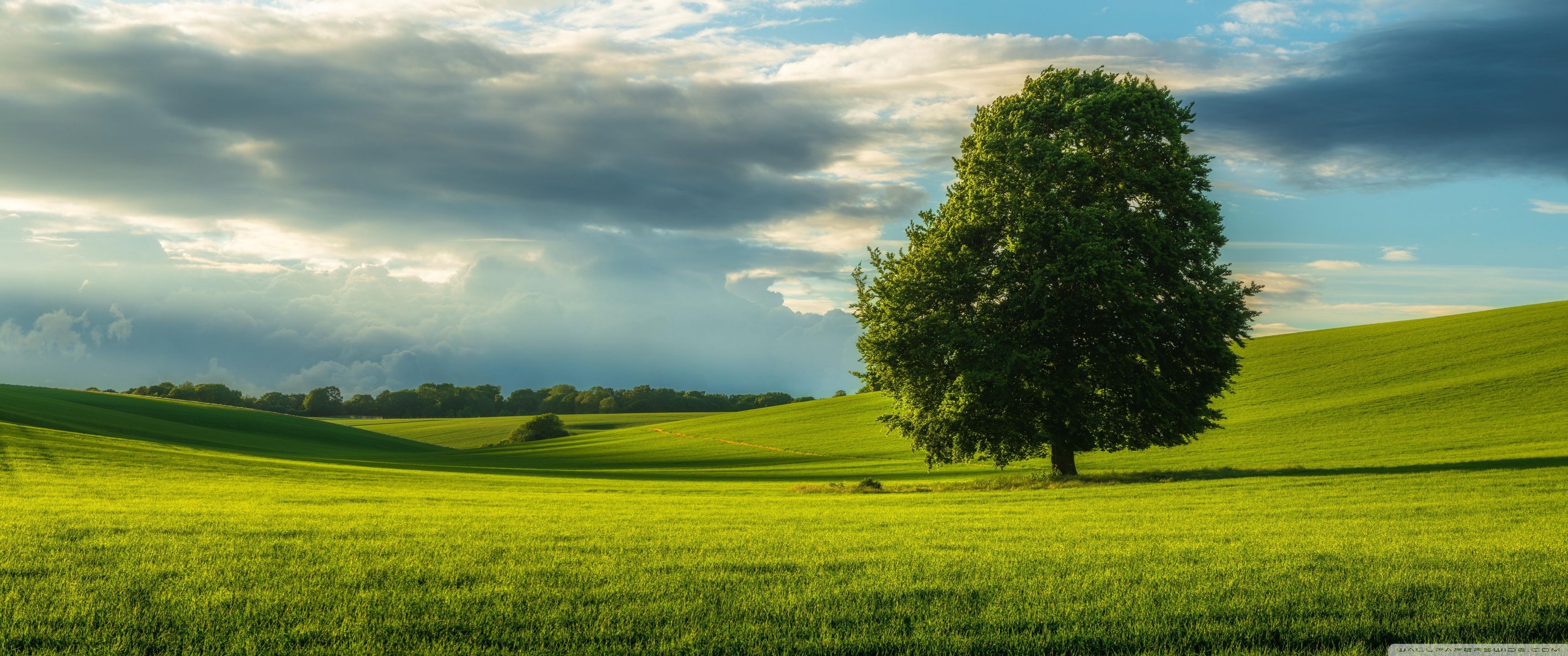 3440x1440 Summer Country Landscape 4K UHD Wallpaper for UltraHD Desktop and TV : Widescreen and UltraWide Display : Dual Monitor