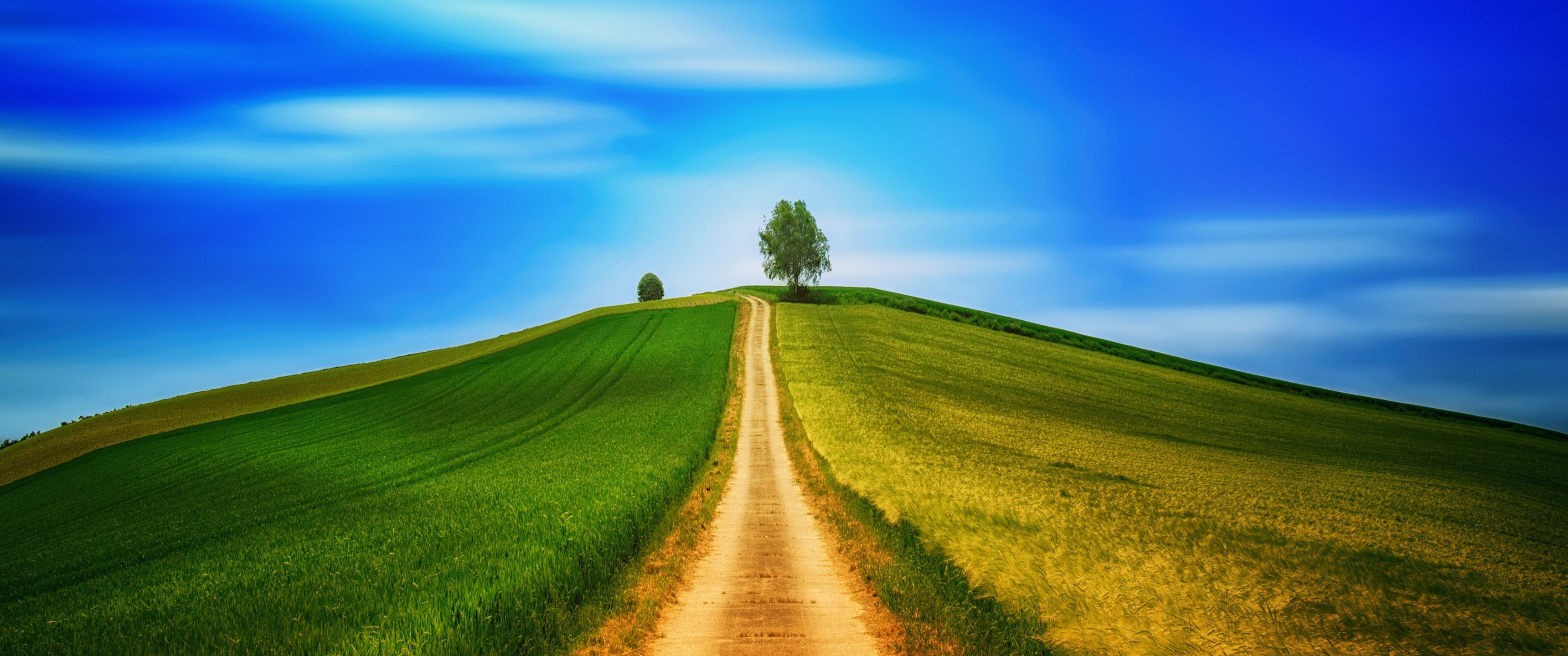 3440x1440 Landscape Wallpaper 4K, Green, Path, Countryside, Daytime