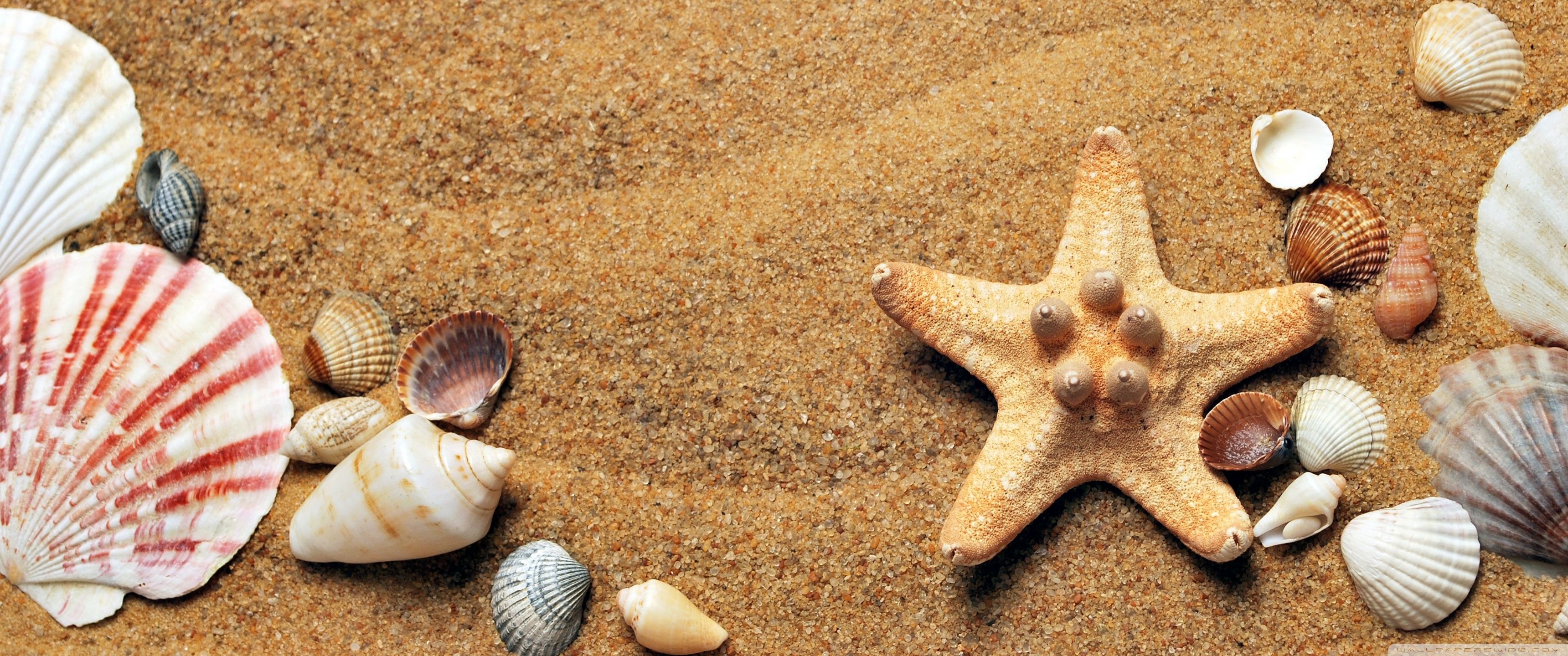 3440x1440 Summer Background 4K UHD Wallpaper for UltraHD Desktop and TV : Widescreen and UltraWide Display : Dual Monitor : Smartphone and Tablet Devices