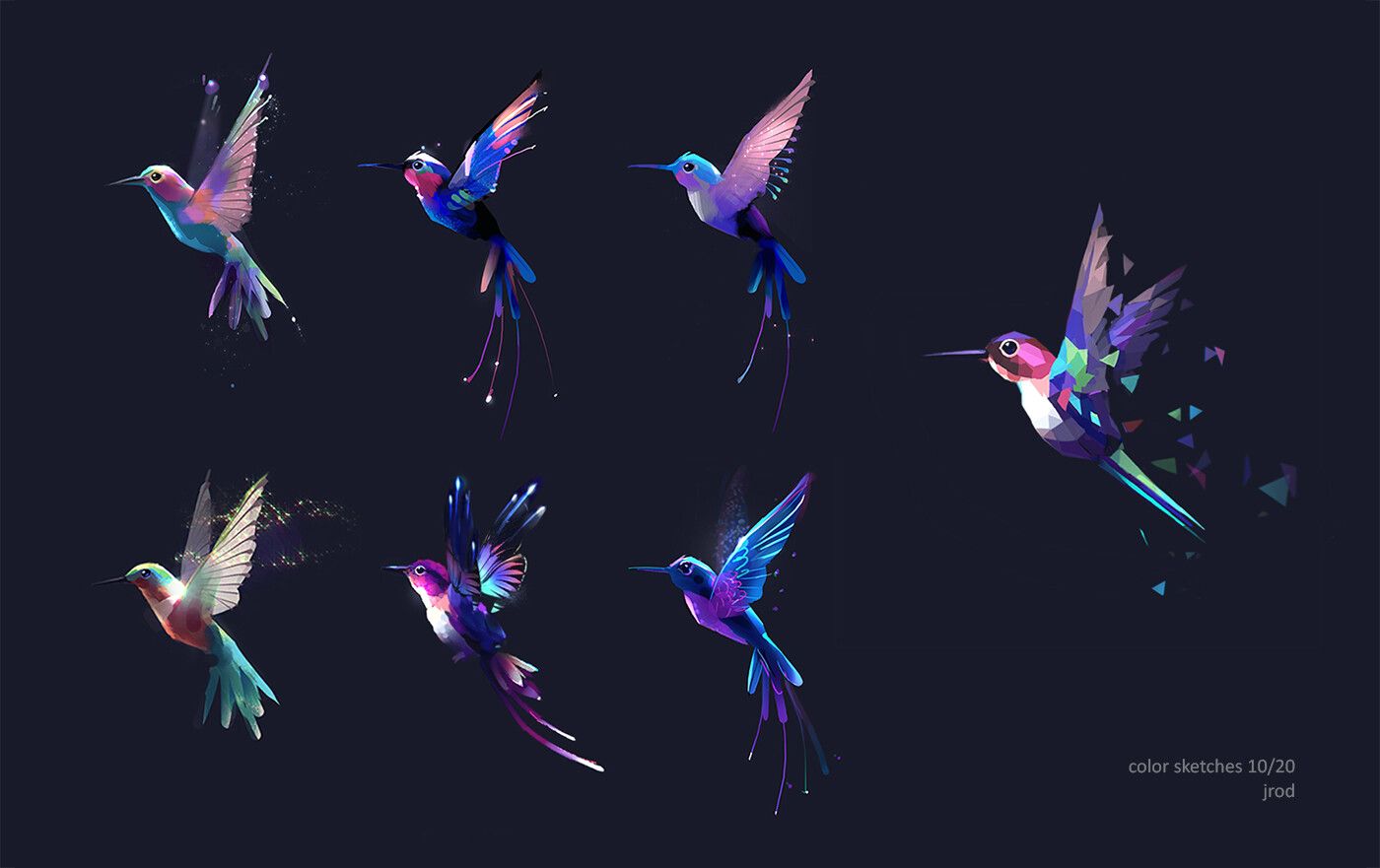 1400x881 Jarod Erwin 2 Hummingbird