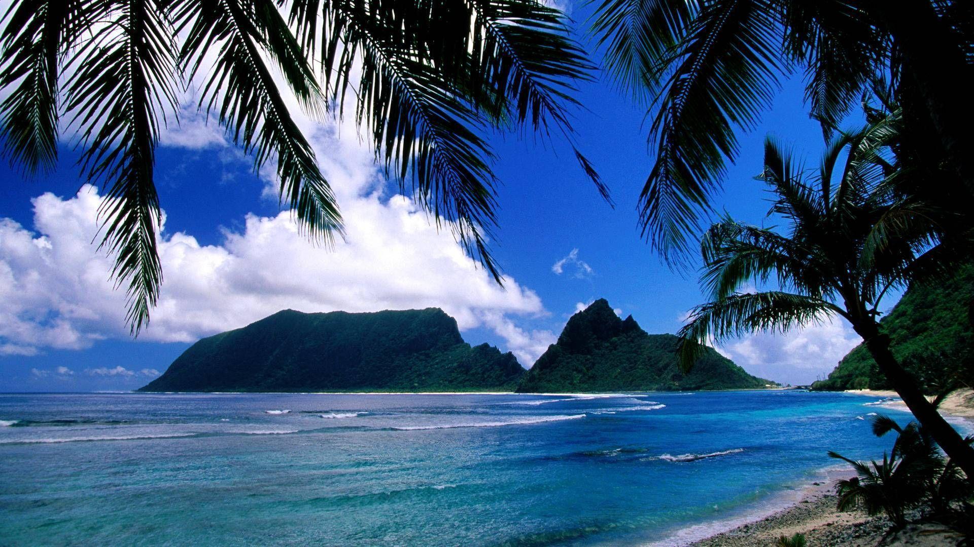 Samoan Backgrounds 49 images