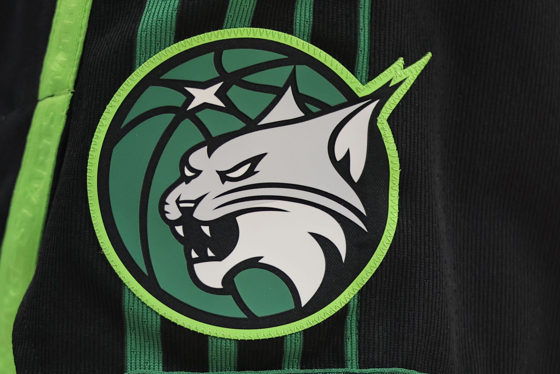 1920x1282 Minnesota Lynx: History, Coach, Owner, and so on