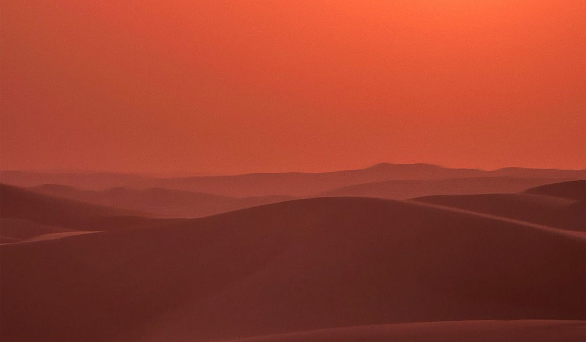 1200x700 Dune in the sands of Abu Dhabi
