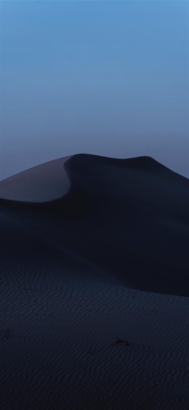 640x1387 Best Dune iPhone 12 HD Wallpaper