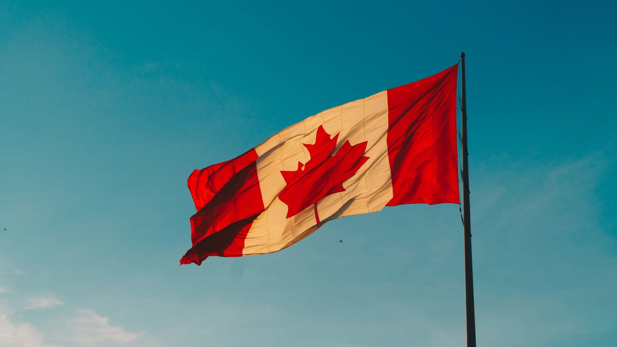 2560x1440 Judge Rules Alberta Erred in Separatist Petition Approval ━ The European Conservative