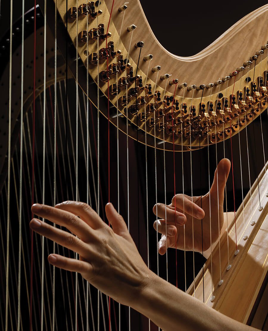 900x1110 Sounds of Angels in the North Carolina Harp Ensemble