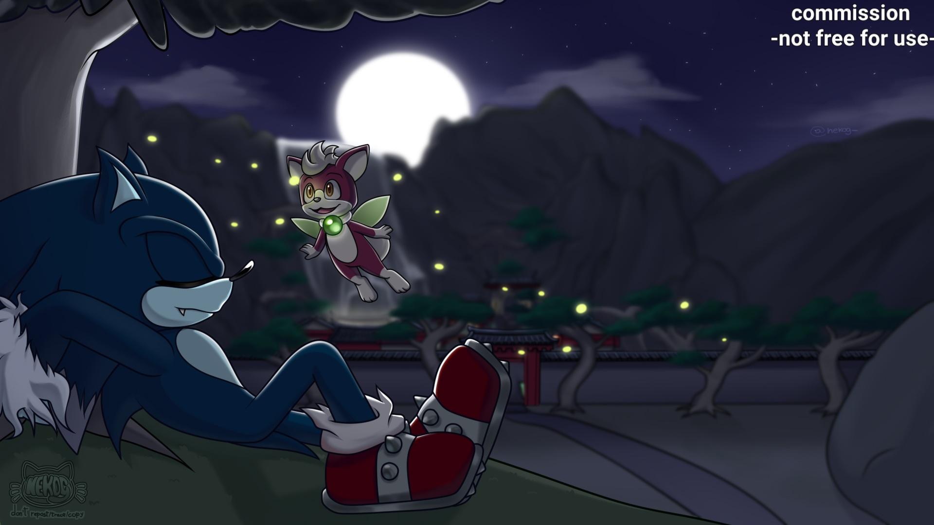 1920x1080 SONIC WEREHOG