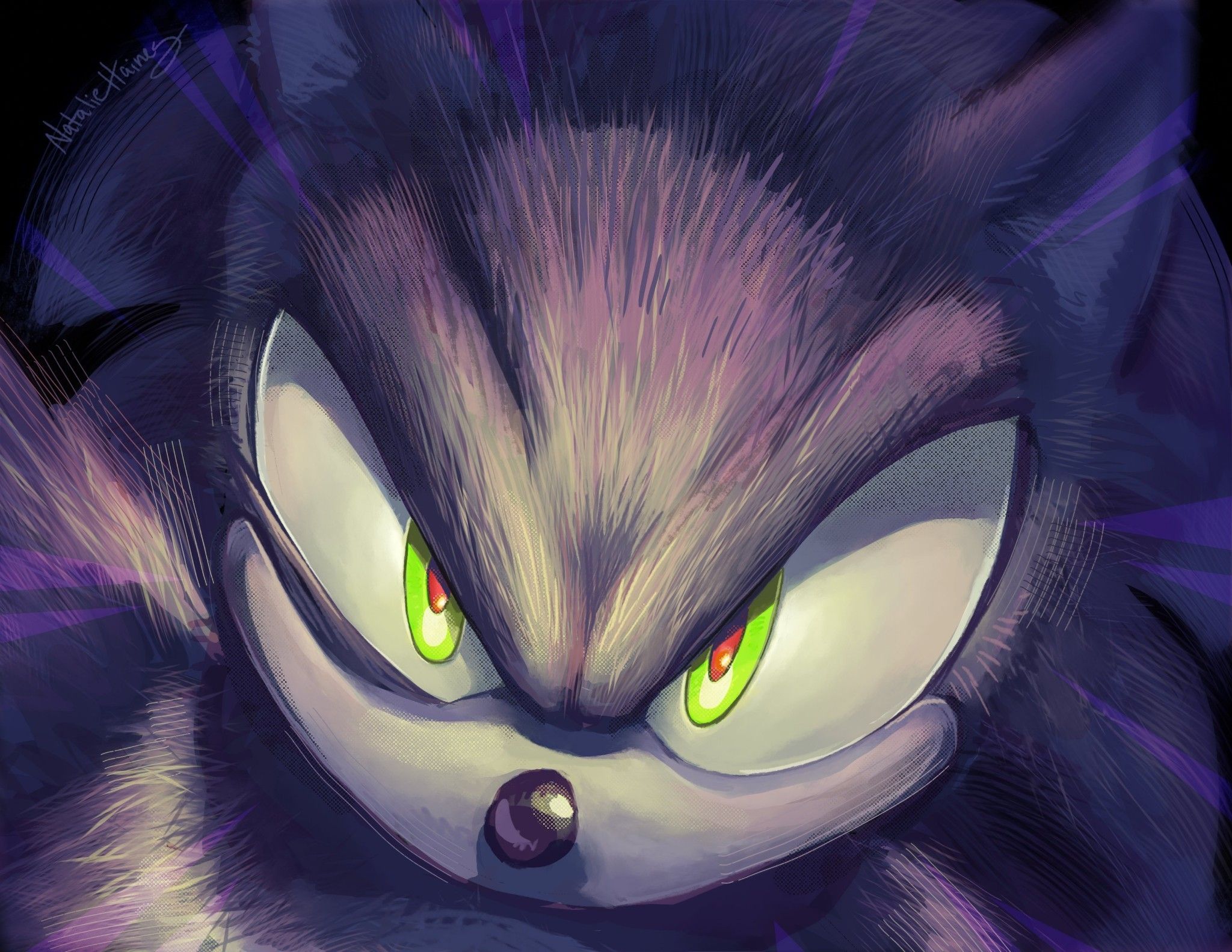 2048x1583 sonic the werehog