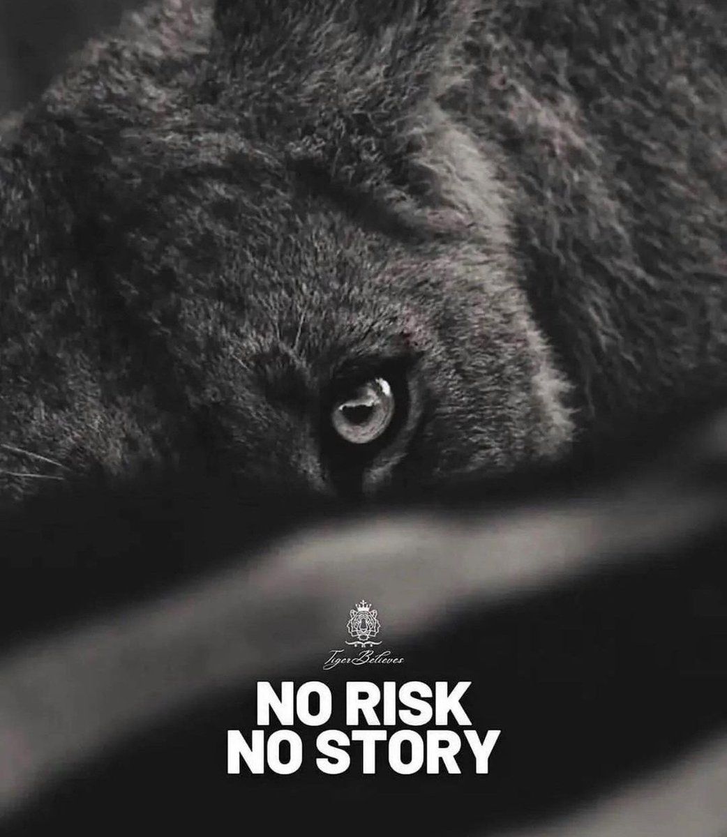 1042x1200 No risk, No story