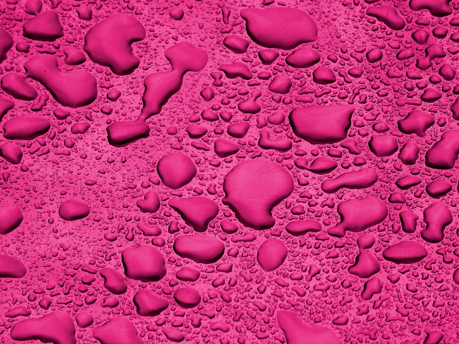 1920x1440 Pink, cerise, rainfall, rain, liquid