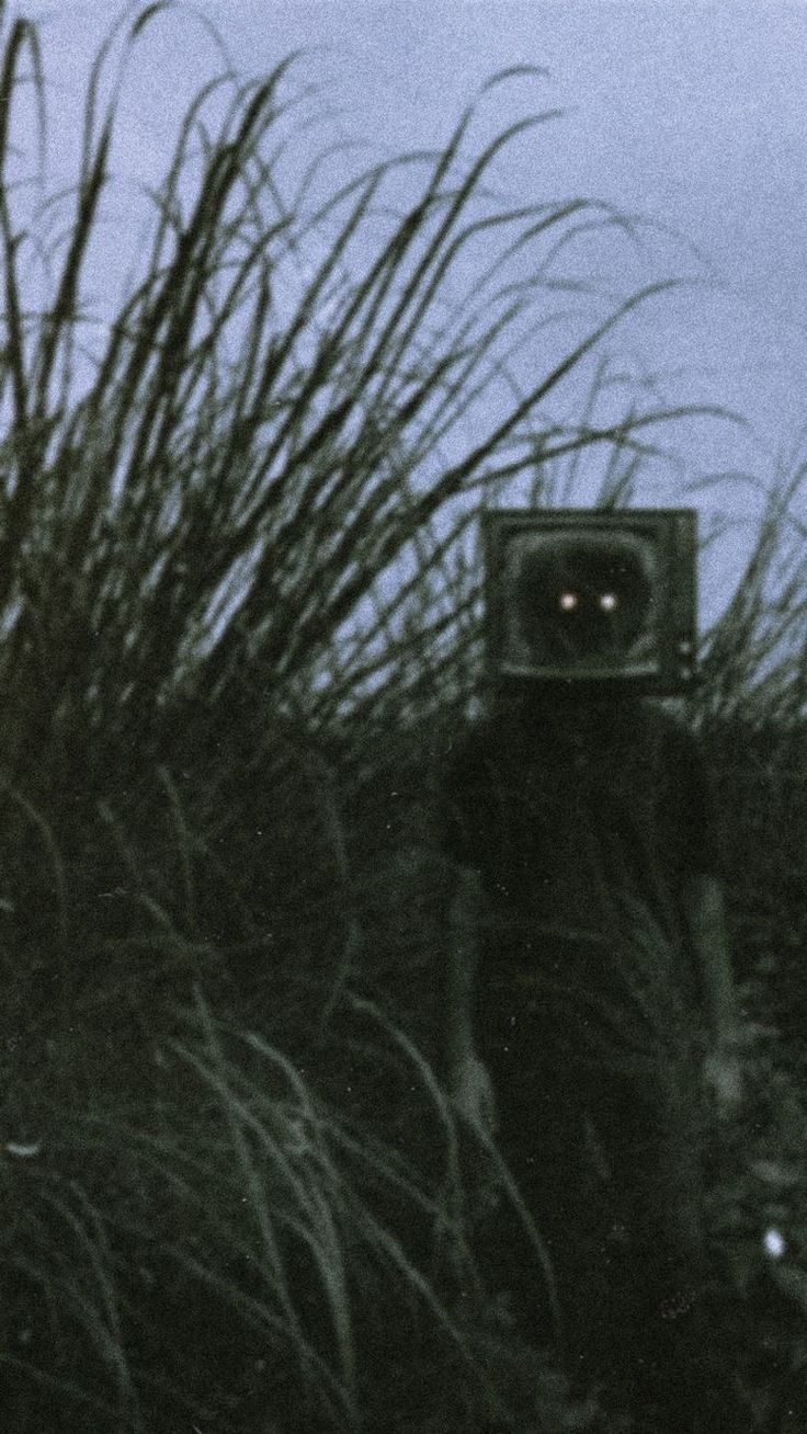 736x1308 Creepy Picture. Scary Image. Creepy Image. Scary Art. Creepy Core. Disturbing aesthetic, Creepypasta horror, Dark static