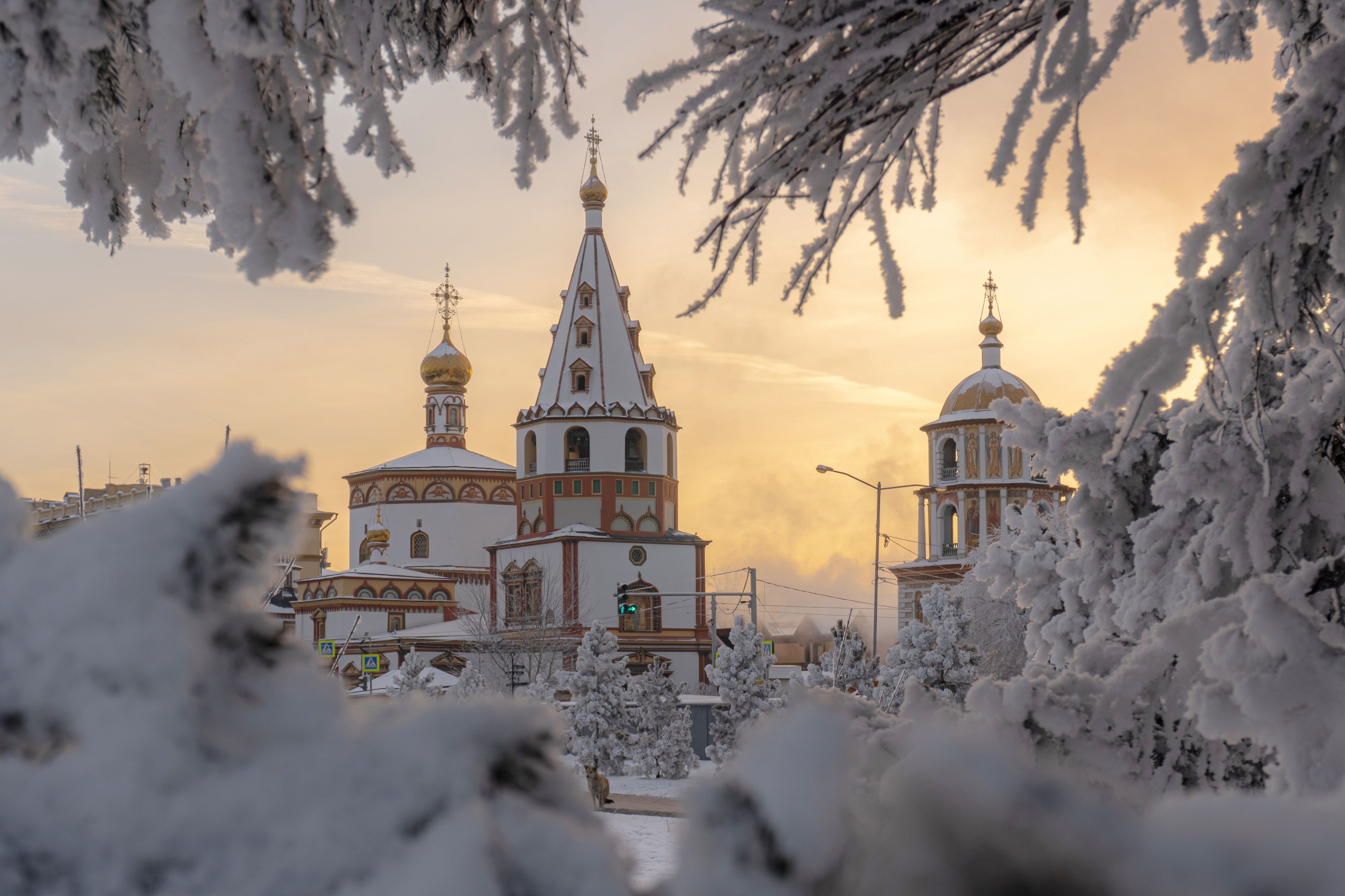 3500x2333 Wallpaper winter, snow, branches, temple, Russia, the bell tower, Irkutsk, Cathedral of the Epiphany for mobile and desktop, section город, resolution 3500x2333
