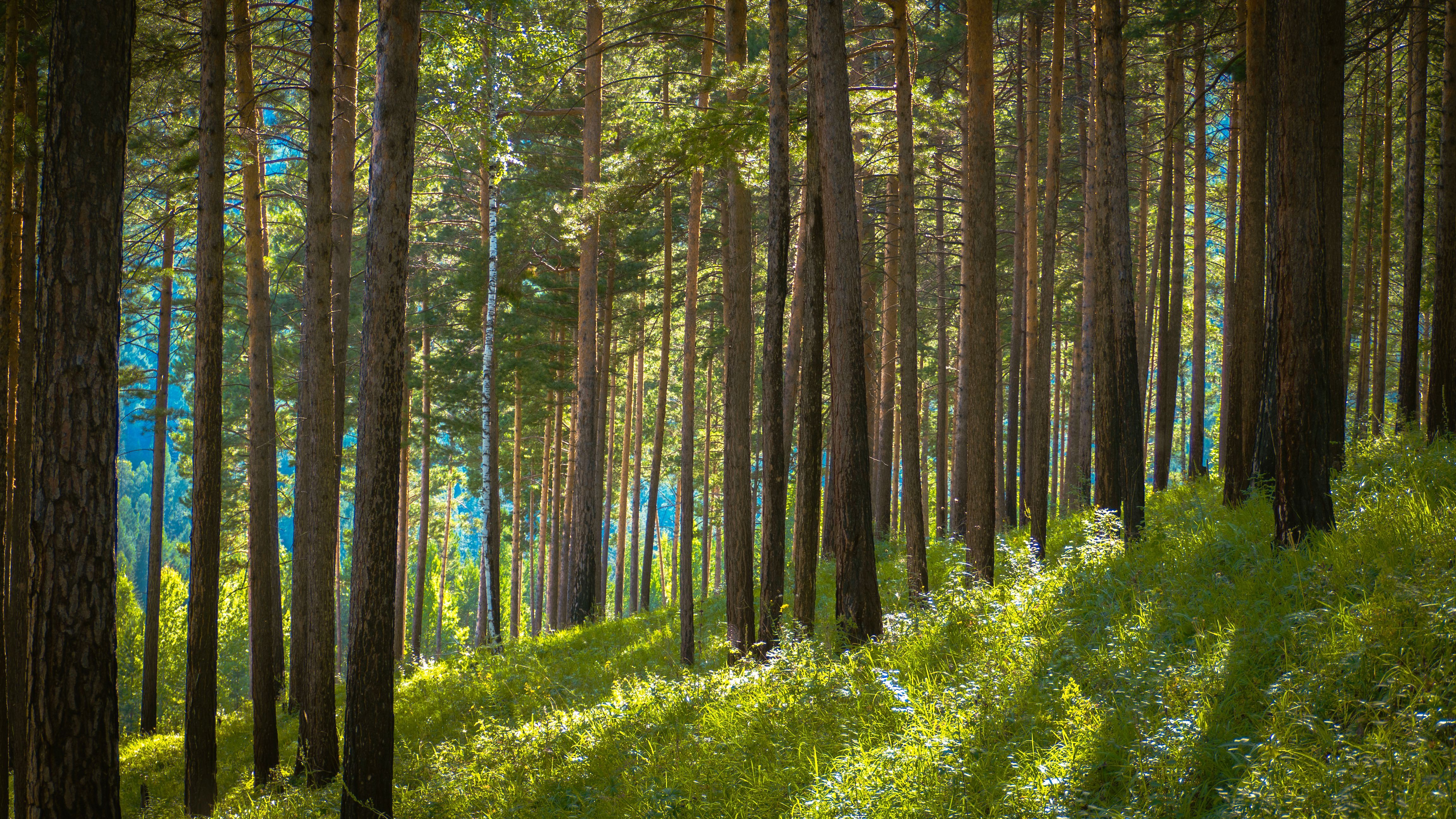 4608x2592 Irkutsk Nature Photo, Download The BEST Free Irkutsk Nature & HD Image
