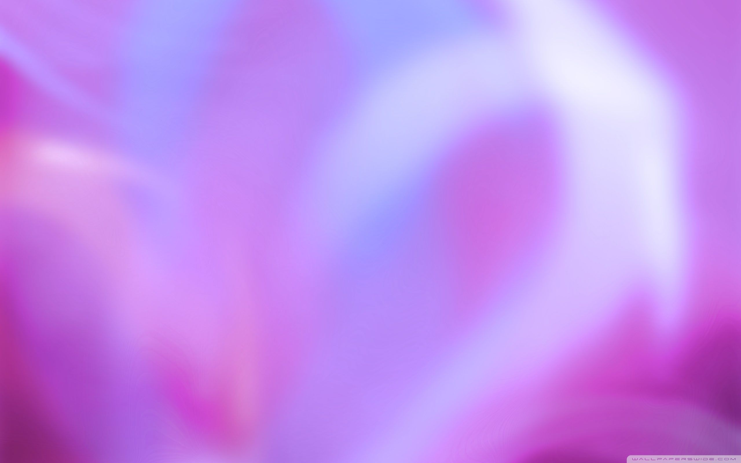 2560x1600 Colorful Aurora Magenta 4K UHD Wallpaper for UltraHD Desktop and TV : Widescreen and UltraWide Display : Smartphone and Tablet Devices