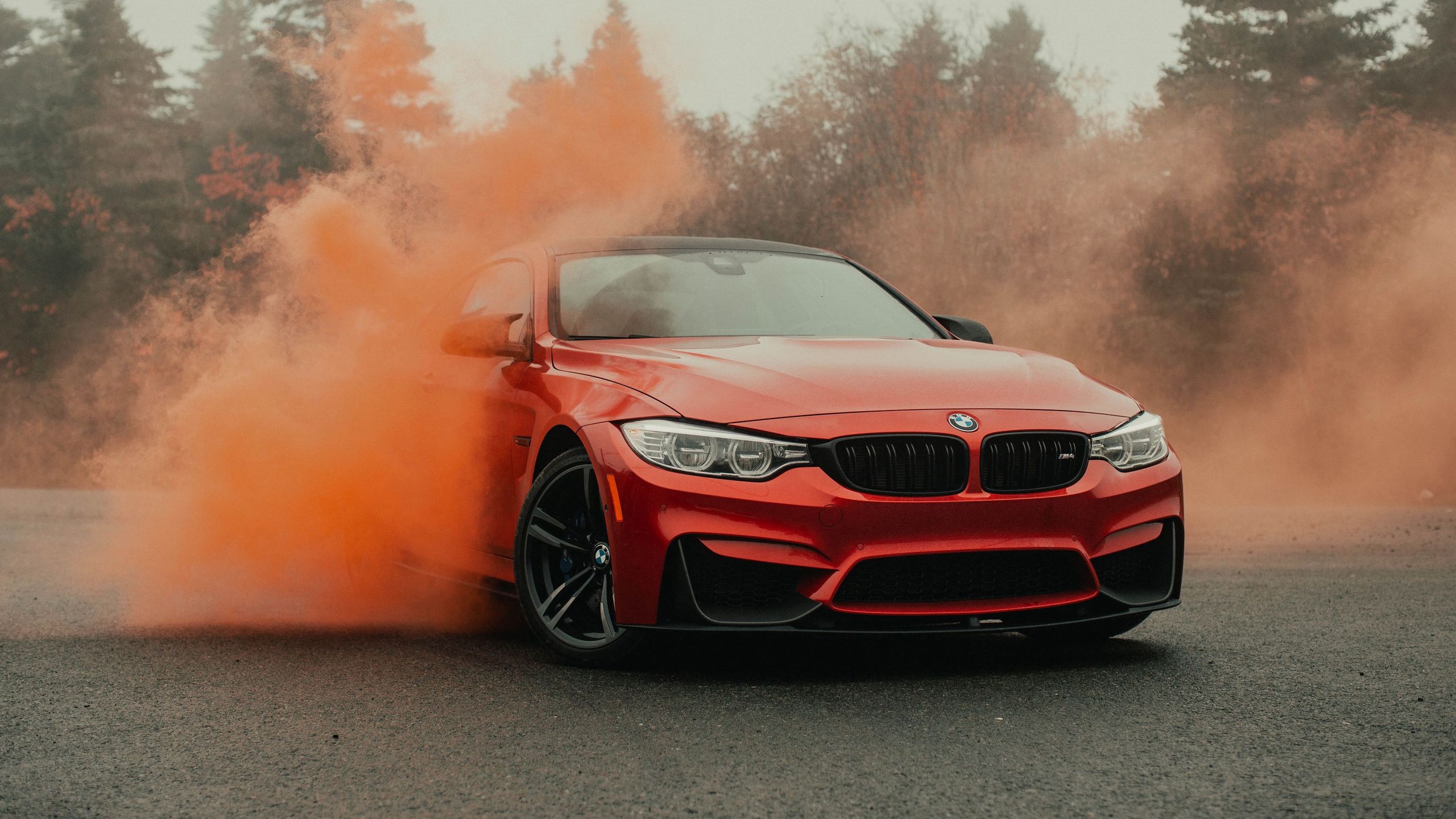 2560x1440 Download Bmw Wallpaper in 2560x1440 Resolution