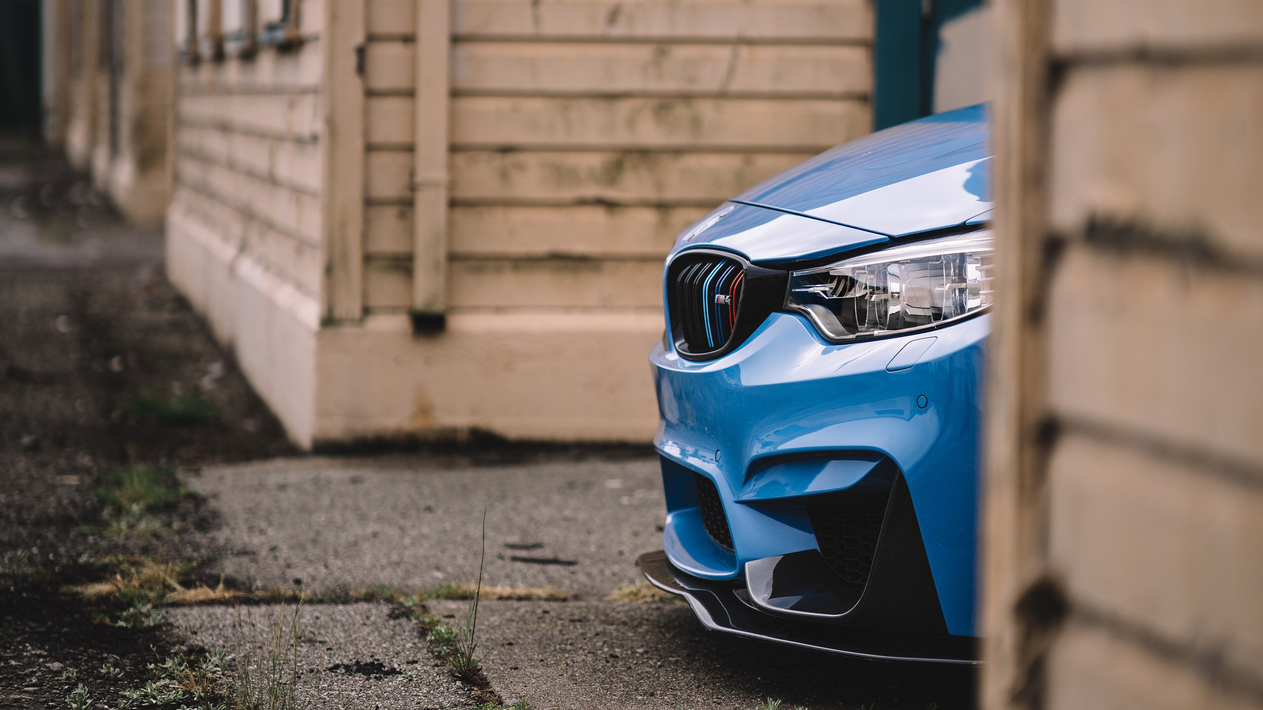 2560x1440 Wallpaper car, BMW, BMW M4 for mobile and desktop, section bmw, resolution 2560x1440