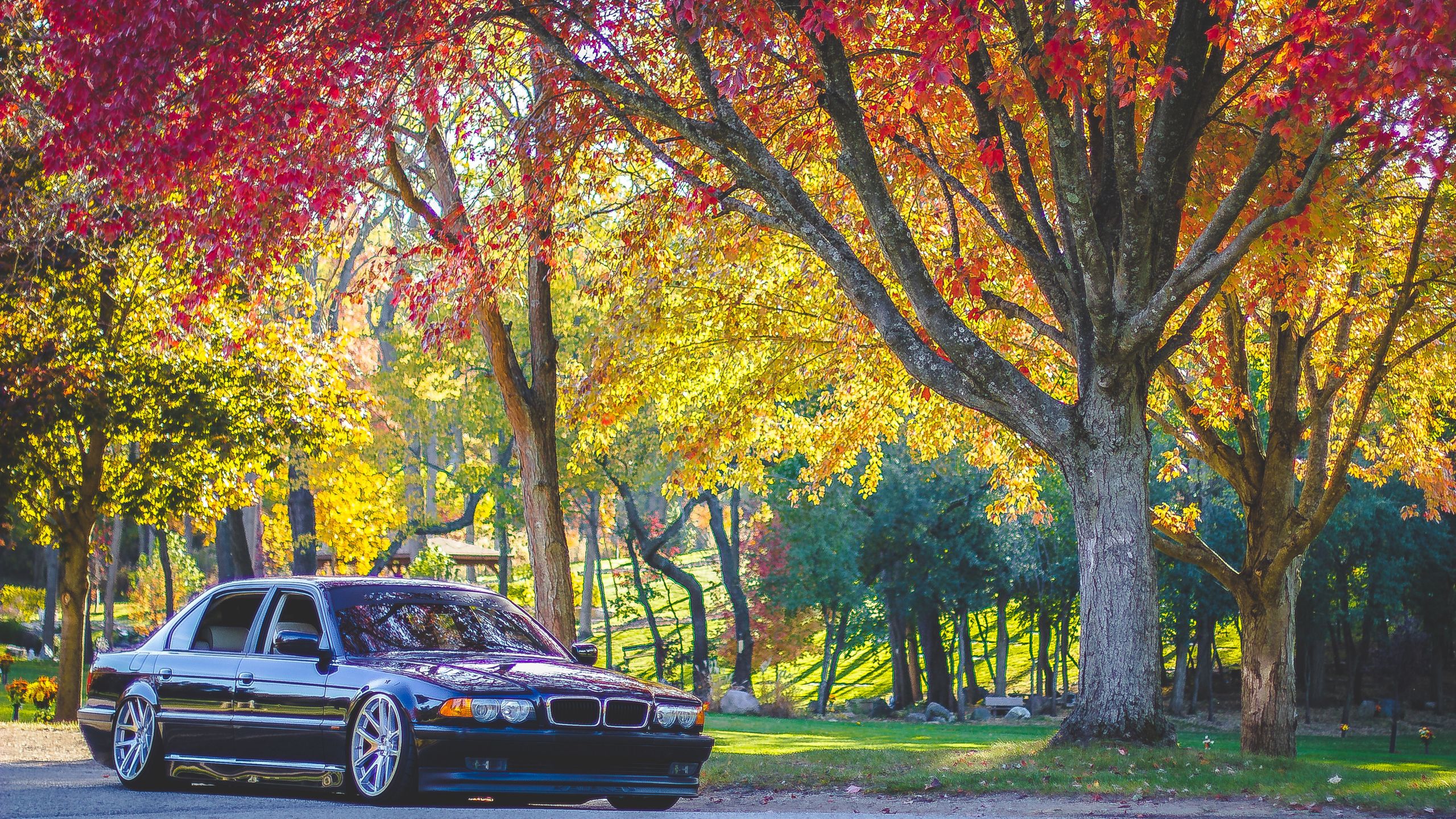 2560x1440 Download Car BMW, Automobile, Bmw, E Series, 2K, 3K, Bimmer, 4K Wallpaper in 2560x1440 Resolution