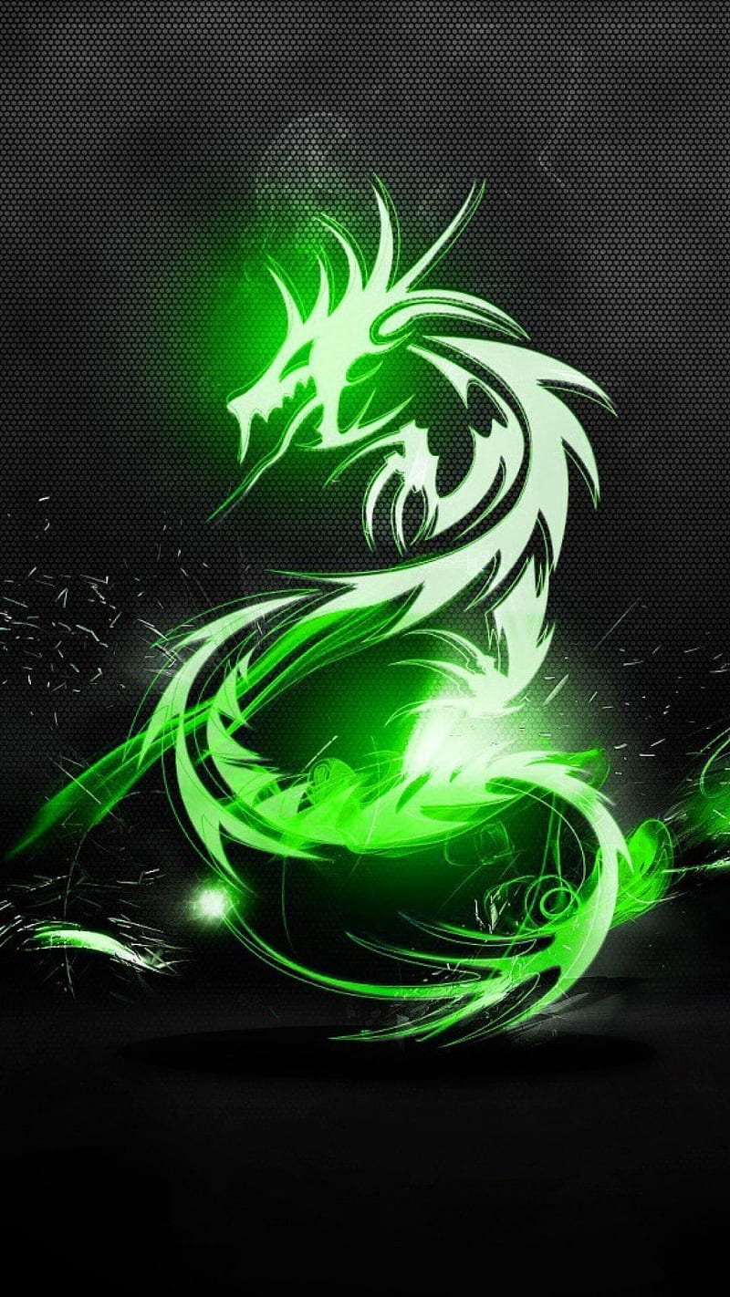 800x1422 Dragon design, neon, HD phone wallpaper