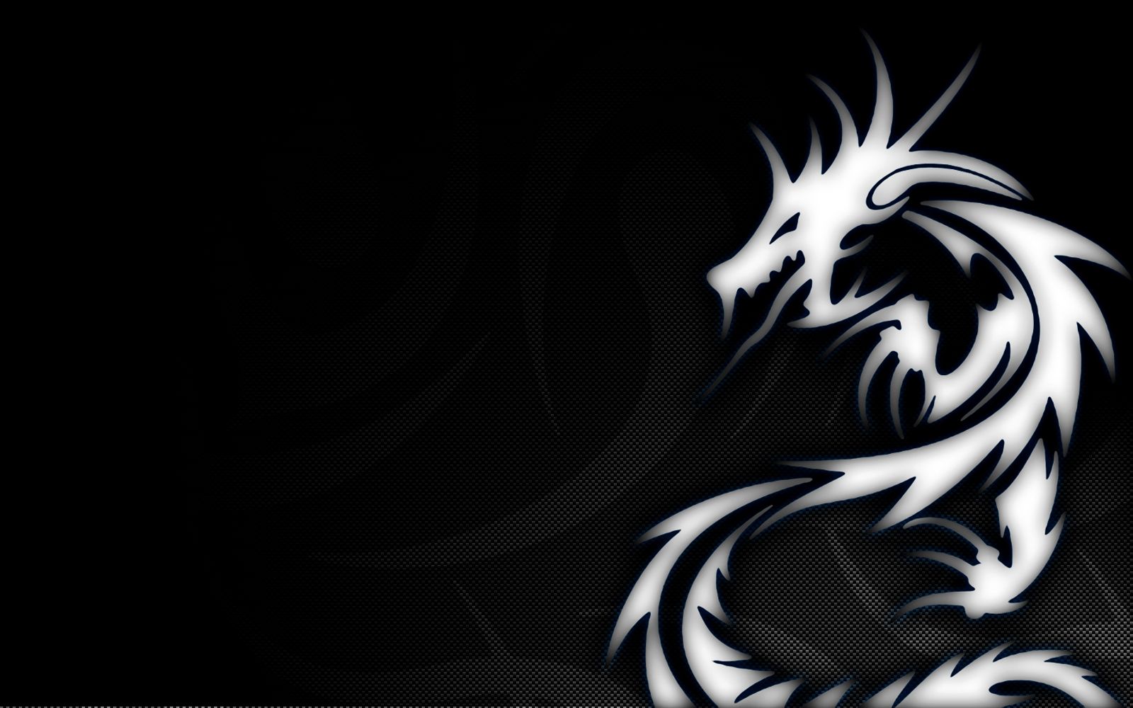 1600x1000 