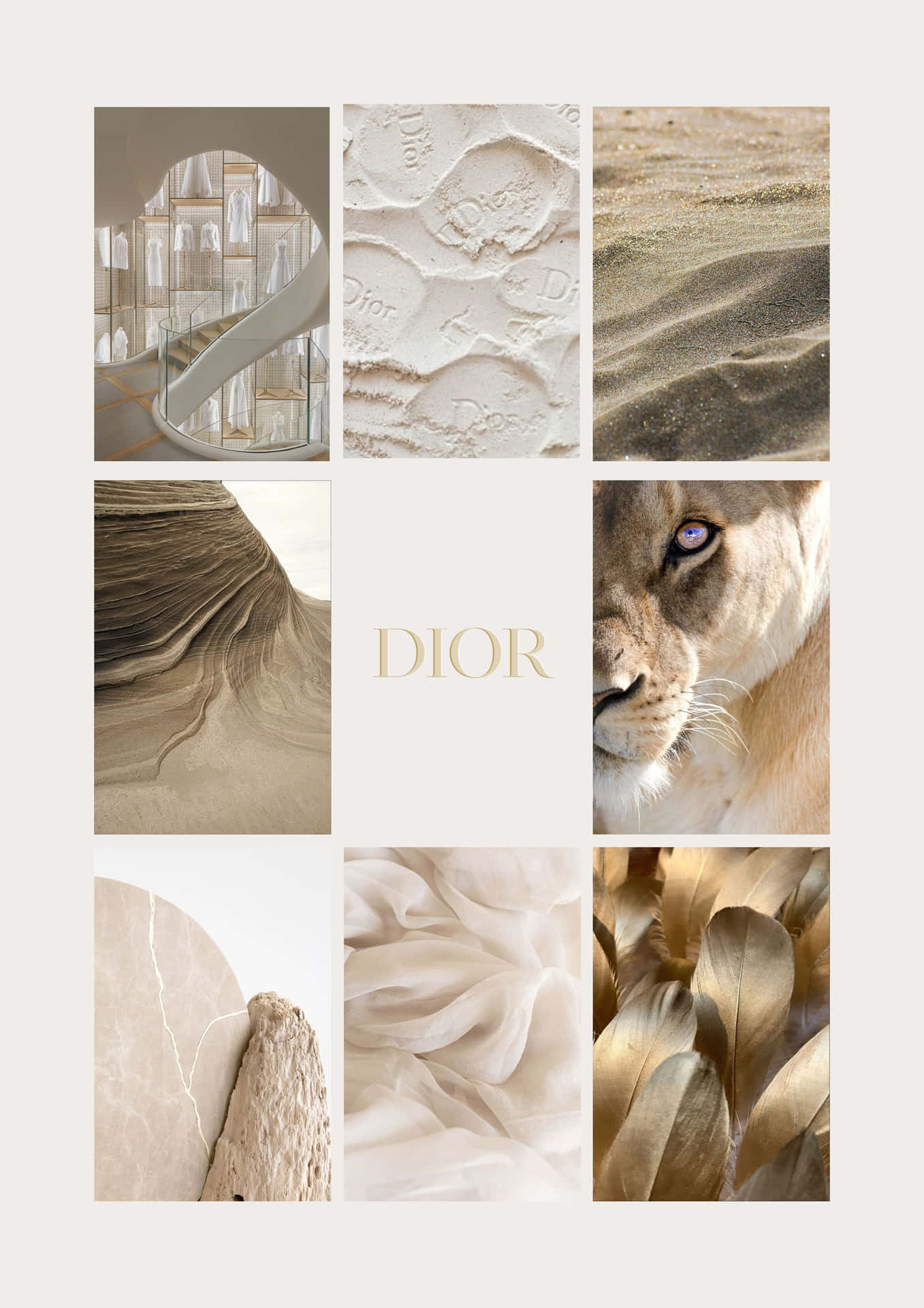 1357x1920 Download Christian Dior Inspiration Collage Wallpaper