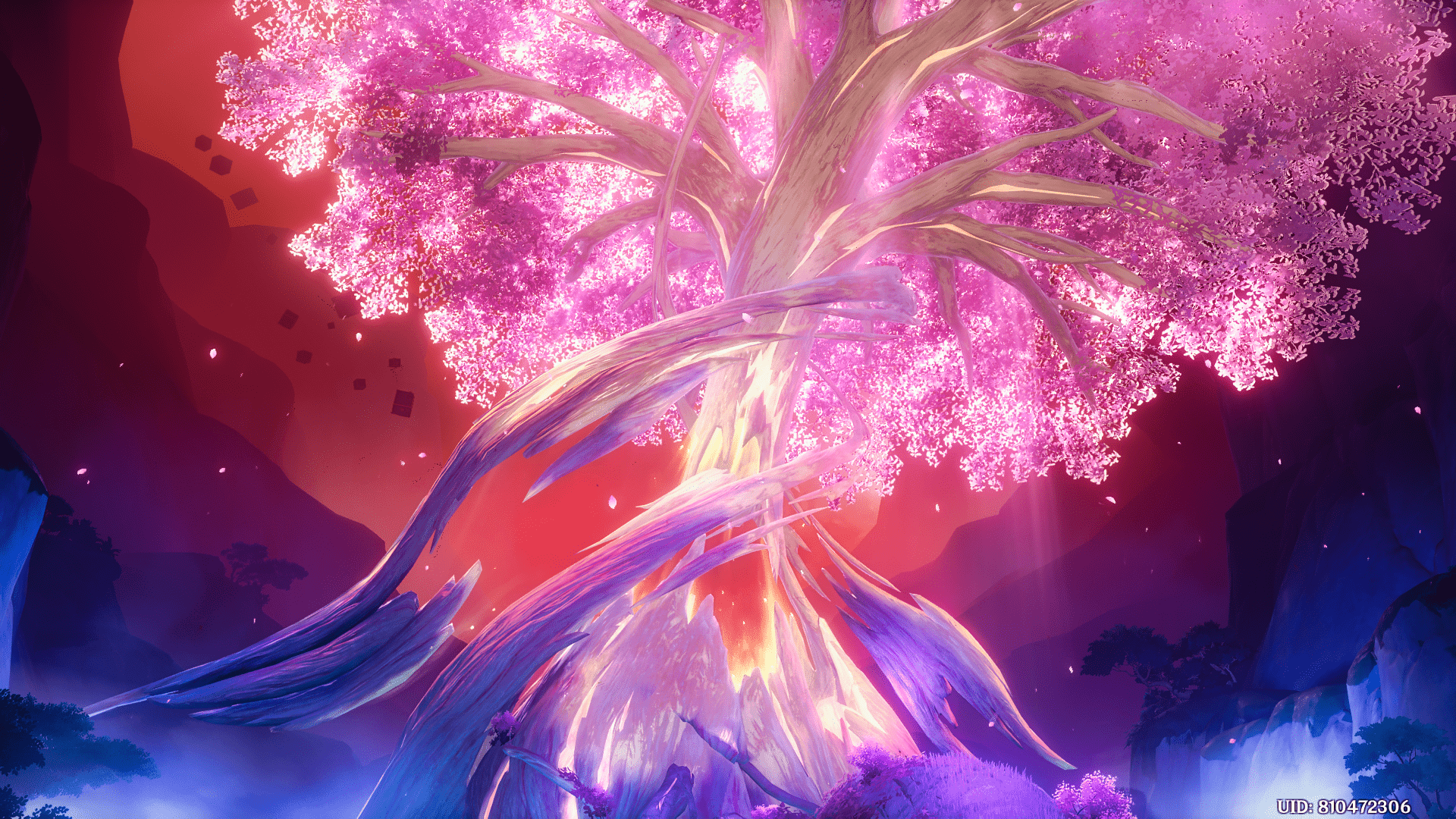 1920x1080 The Irminsul Tree Genshin Impact
