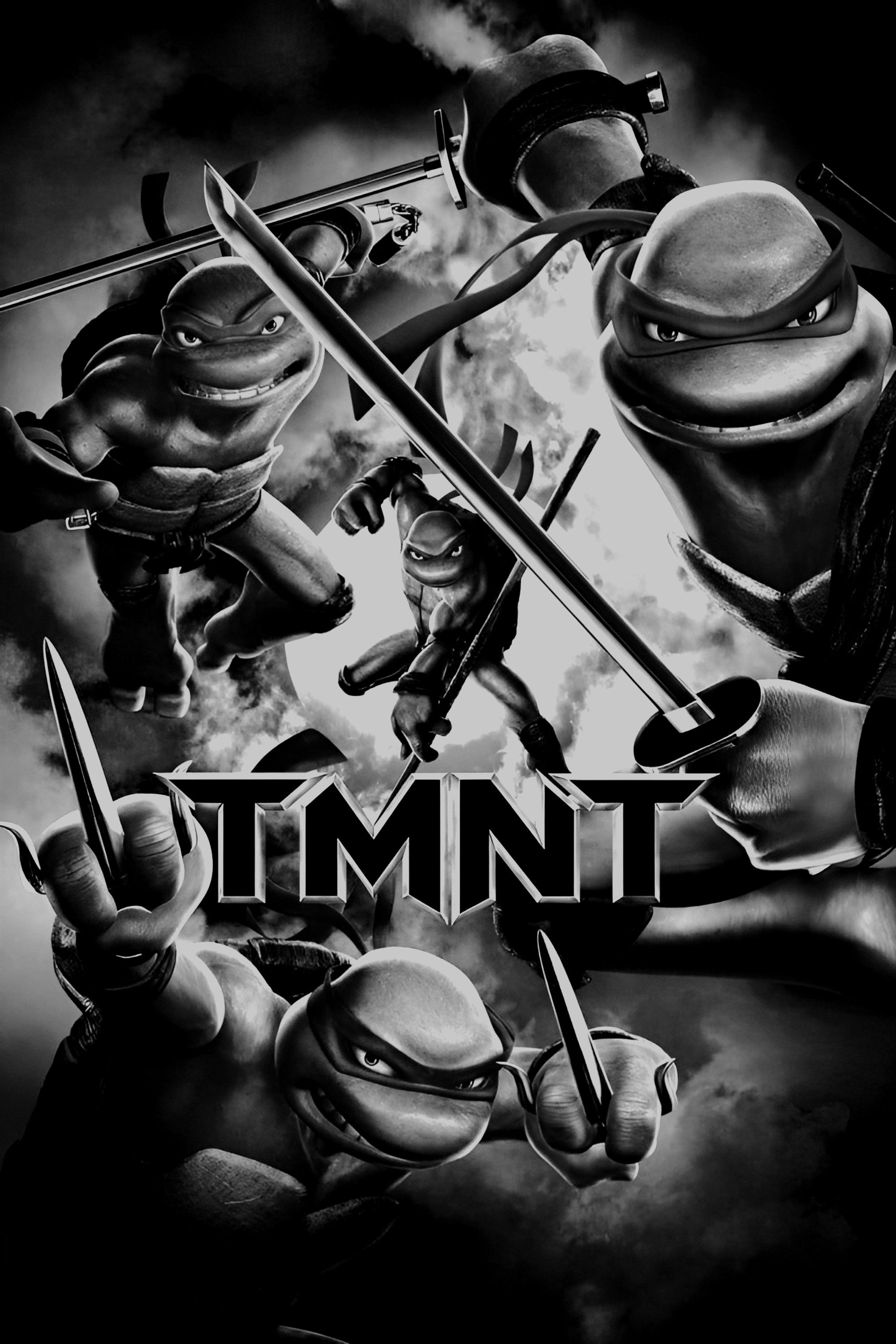 2000x3000 TMNT (2007)