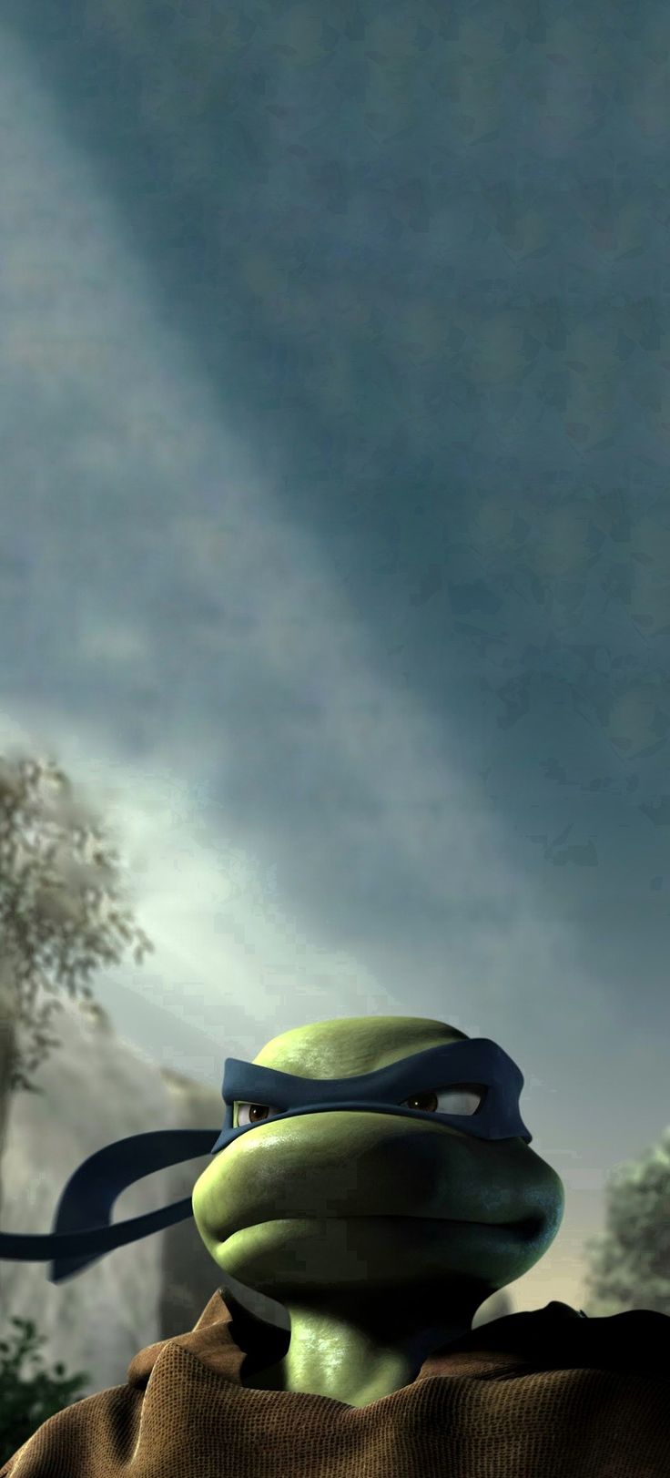 736x1623 TMNT 2007 LEONARDO WALLPAPER