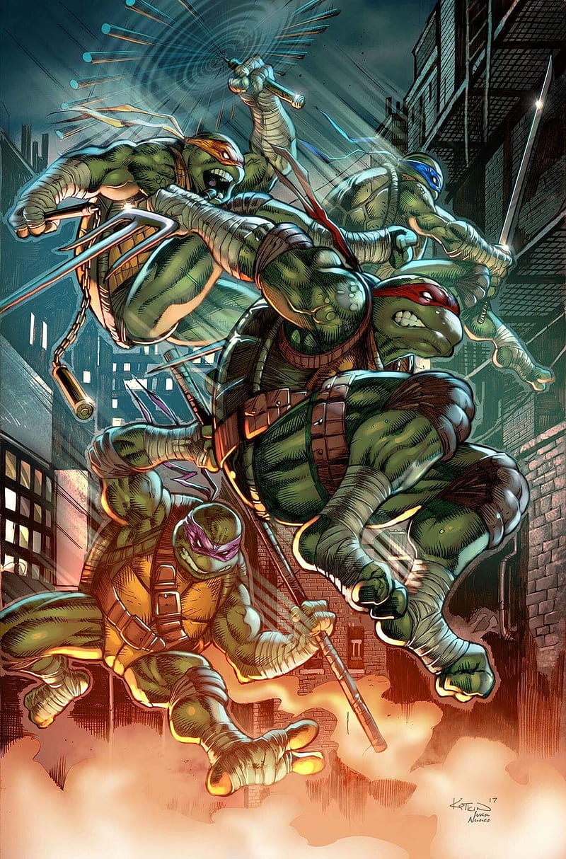 800x1214 Tmnt, mutantes, tortugas ninja, turtles, HD phone wallpaper