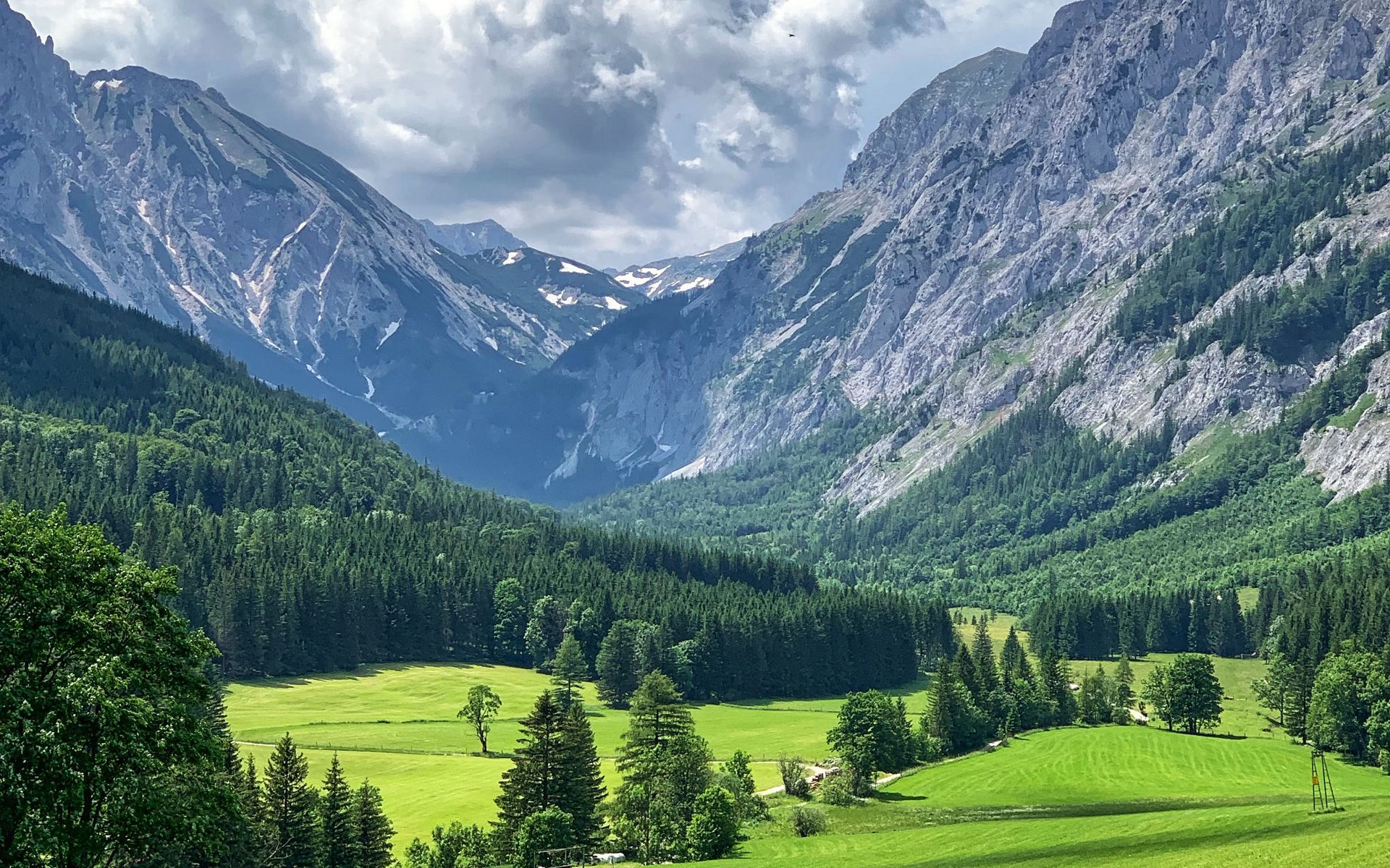 1920x1200 Download wallpaper 1920x1200 mountains, valley, trees, grass, landscape, green widescreen 16:10 HD background