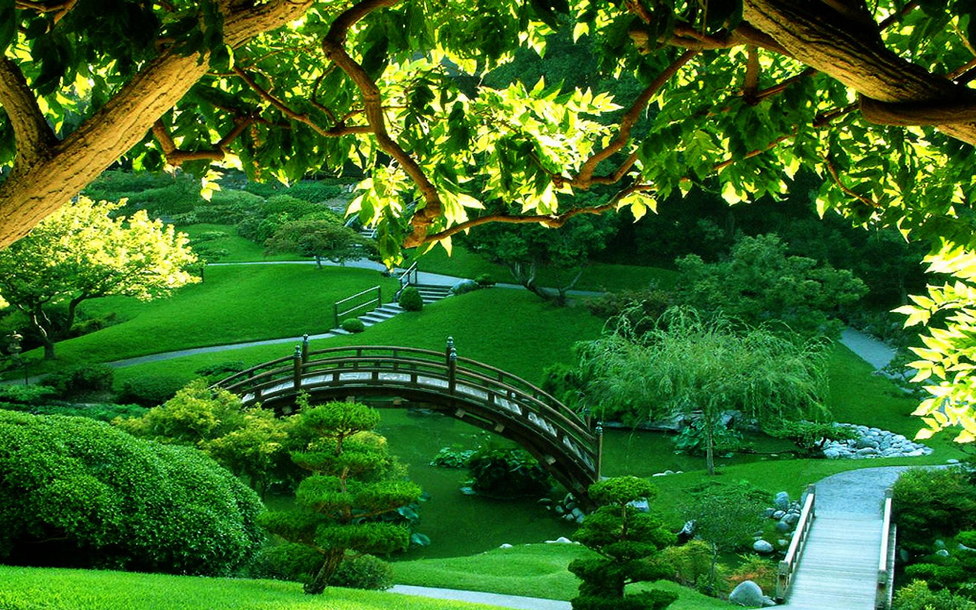1920x1200 Wonderful Green Garden[1920x1200]