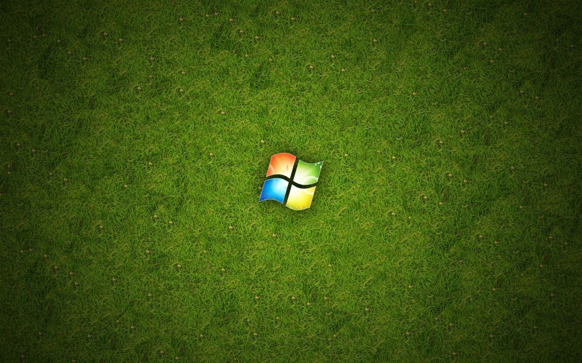 1200x750 Wallpaper 2 Blue and Orange Eggs on Green Grass, Background Free Image