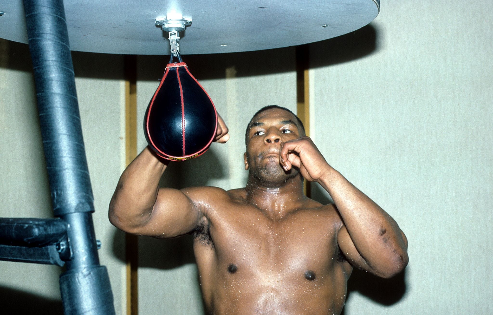2048x1308 My Mike Tyson Carol Oates: A Writer's Journal