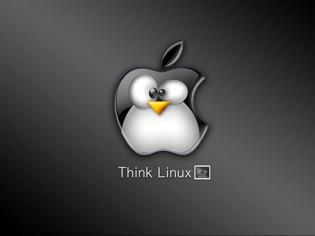 1024x768 Think linux. Wallpaper Linuxero =). Martín Javier