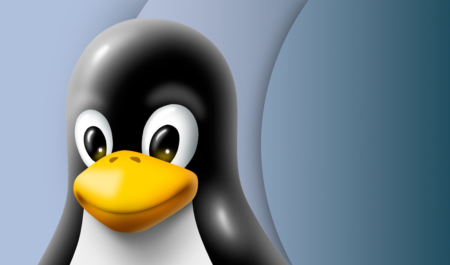 1464x863 Best Linux distro of 2025