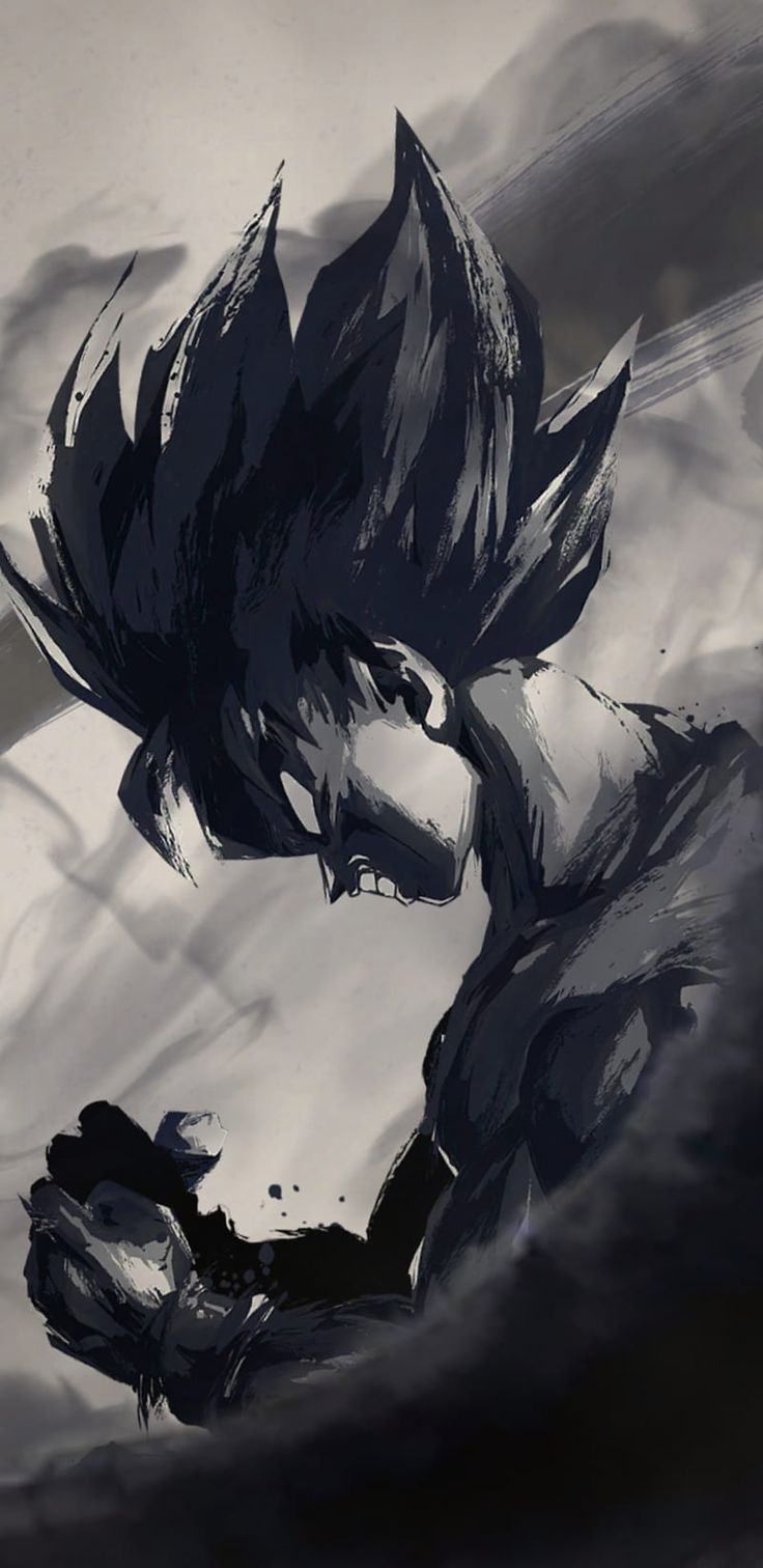 736x1512 1284x2778px, 2K free download. Dragon Ball, Son Goku, anime, HD phone wallpaper