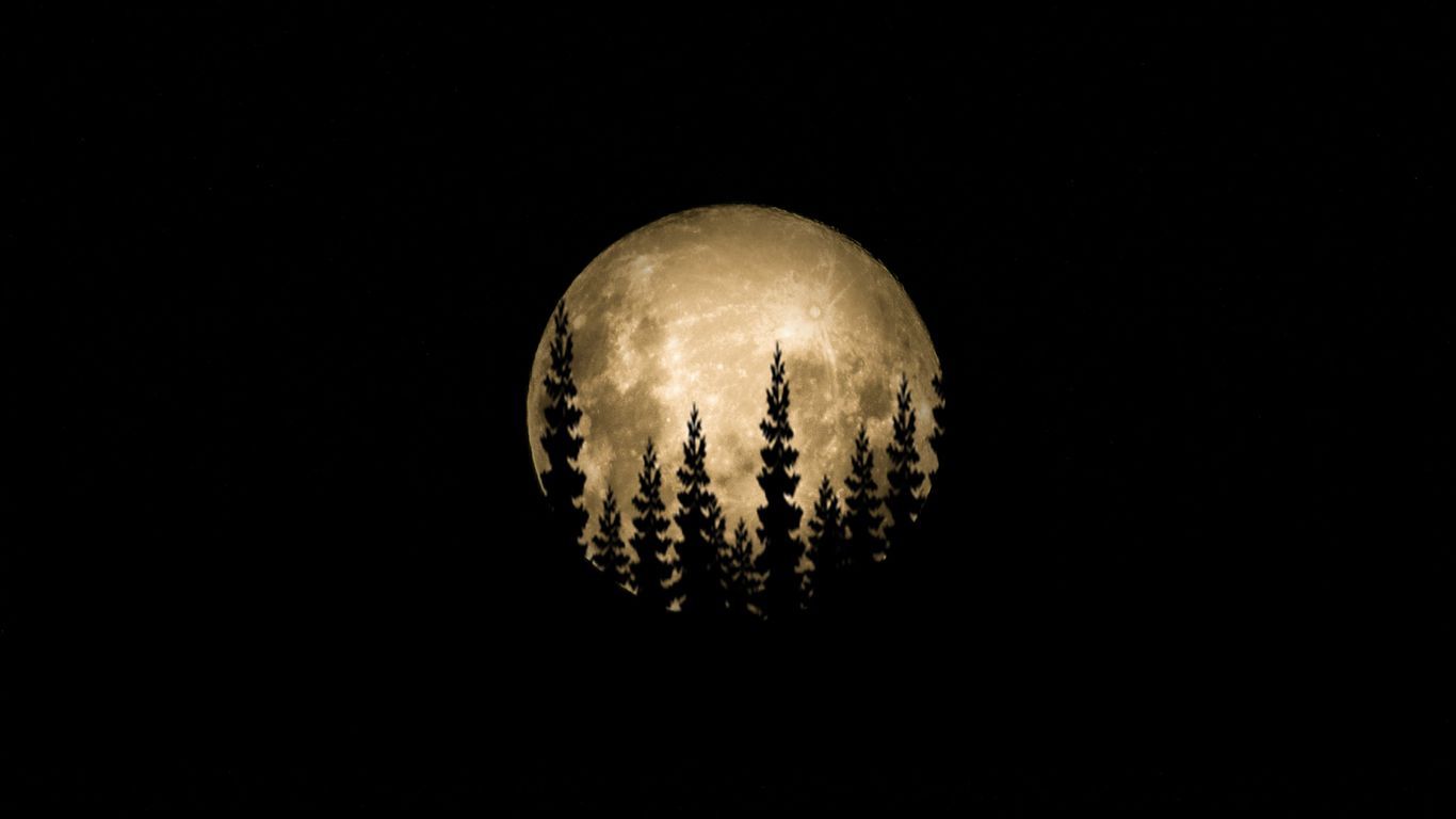 1366x768 Download wallpaper 1366x768 moon, full moon, trees, silhouette, black tablet, laptop HD background
