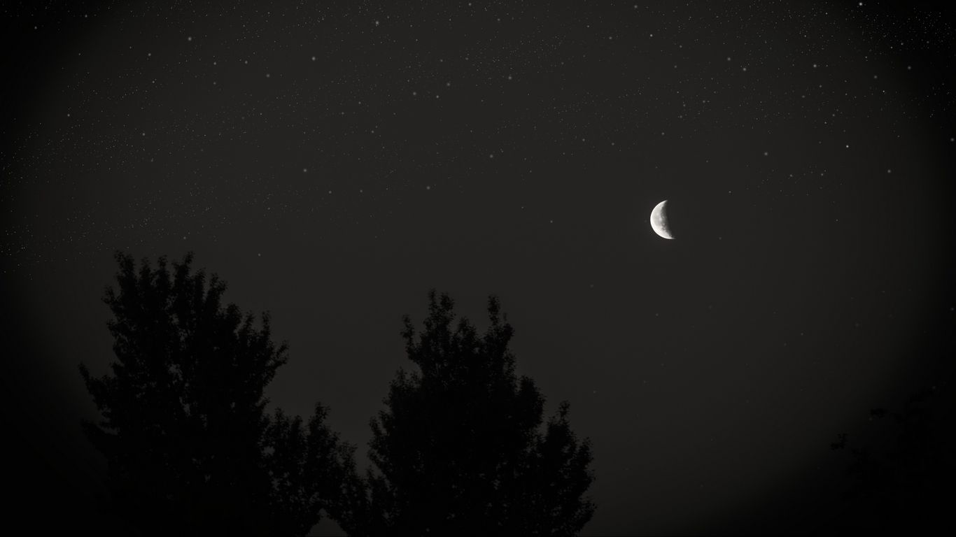 1366x768 Download wallpaper 1366x768 moon, night, sky, tree, stars, dark tablet, laptop HD background