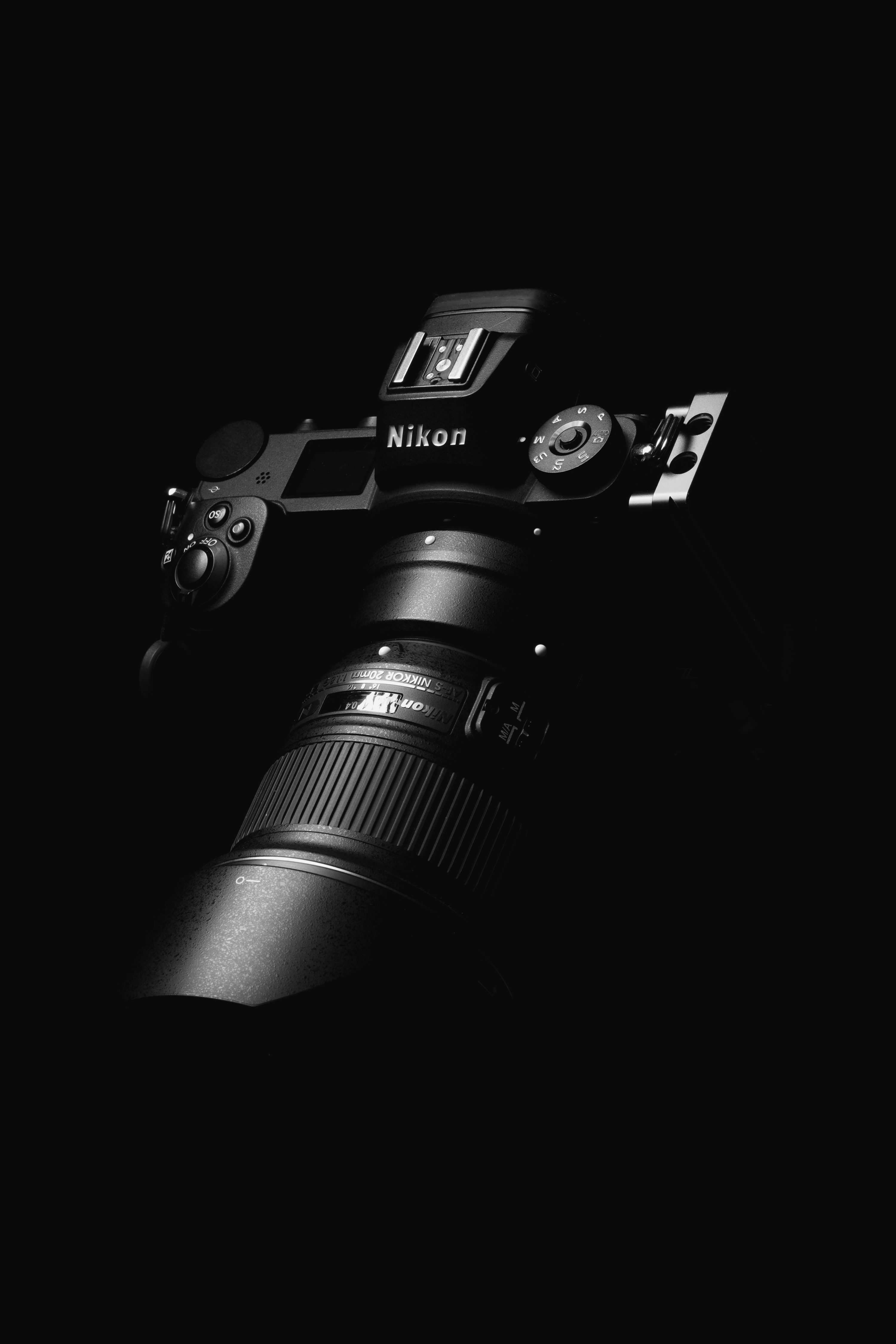 3000x4498 Nikon Z6 Picture. Download Free Image