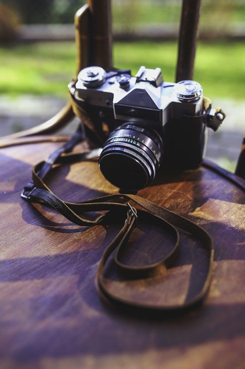 493x740 Nikon z6 photography Image