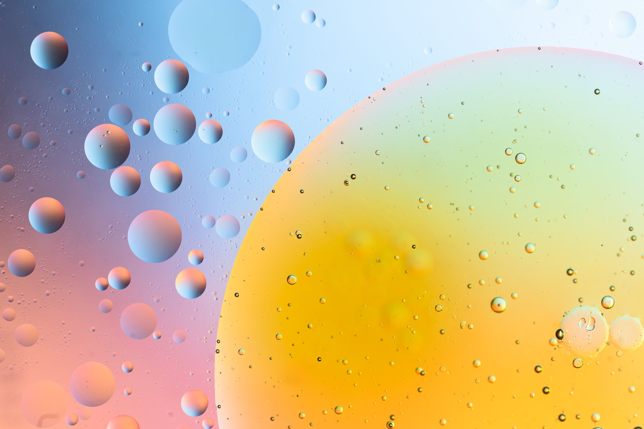 2048x1365 Photography News: Nikon Z6 III Tomorrow, Nikon's New Self Service Site