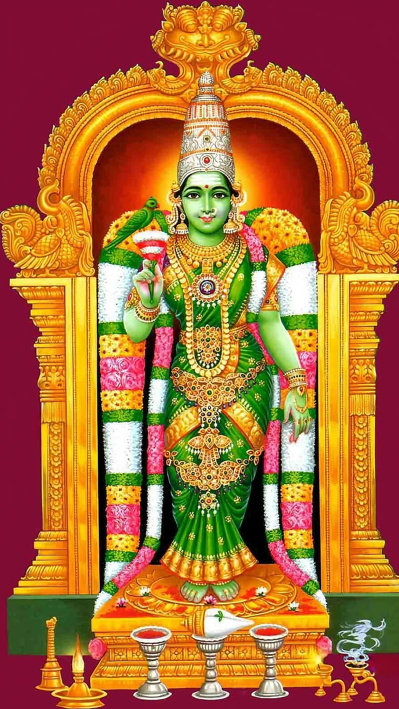 800x1422 HD meenakshi amman wallpaper
