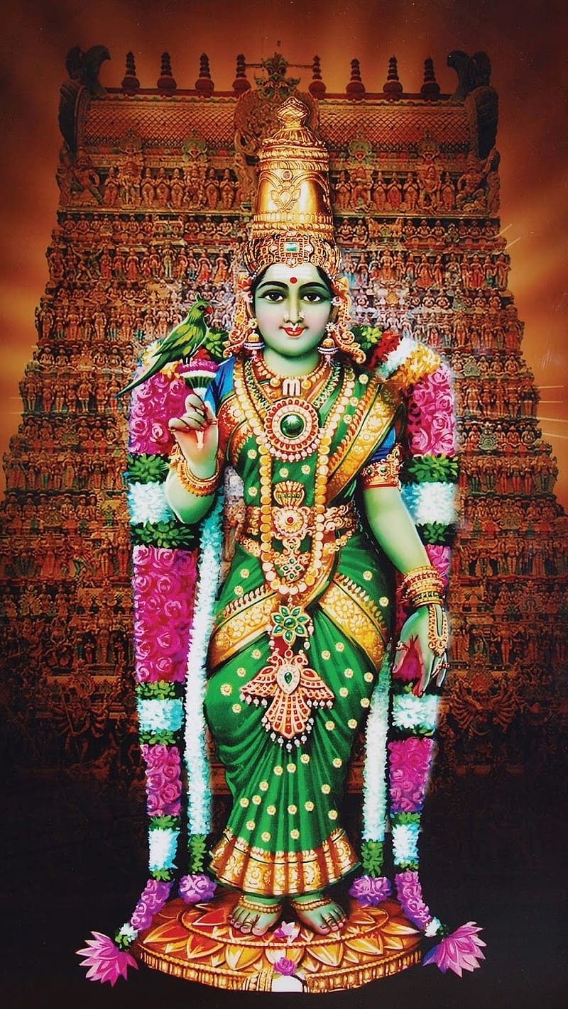 800x1422 Meenakshi Amman, God Madurai Meenakshi, god, lord, madurai meenakshi, HD phone wallpaper