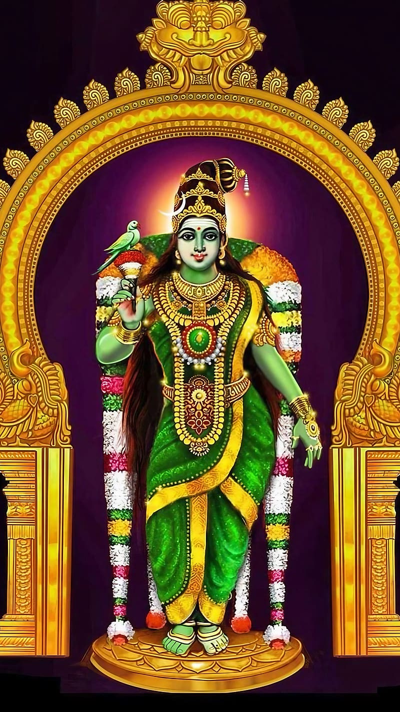 800x1422 Madurai Meenakshi Amman, madurai amman, lord, god, bhakti, devtional, HD phone wallpaper