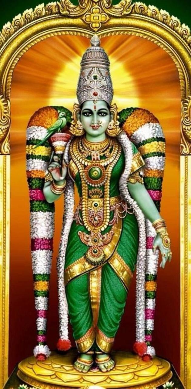 630x1280 Madurai Meenakshi Wallpaper