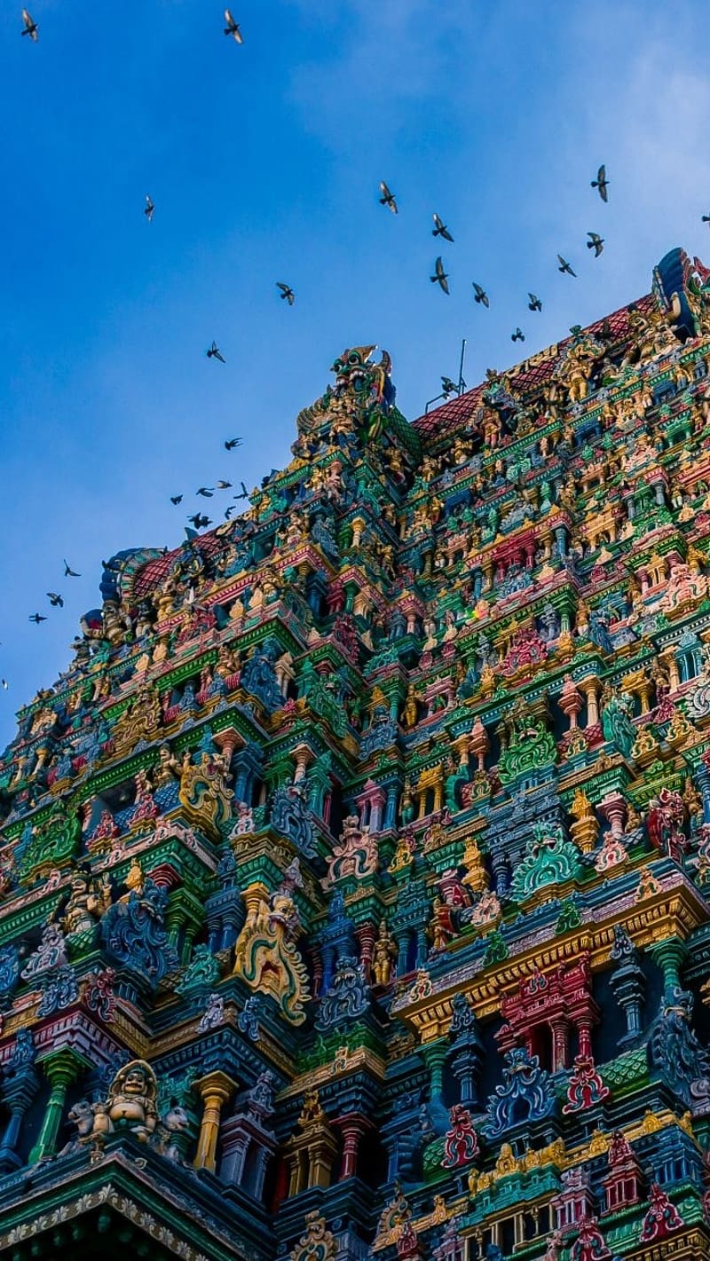800x1421 Meenakshi Amman, temple, lord, god, HD phone wallpaper