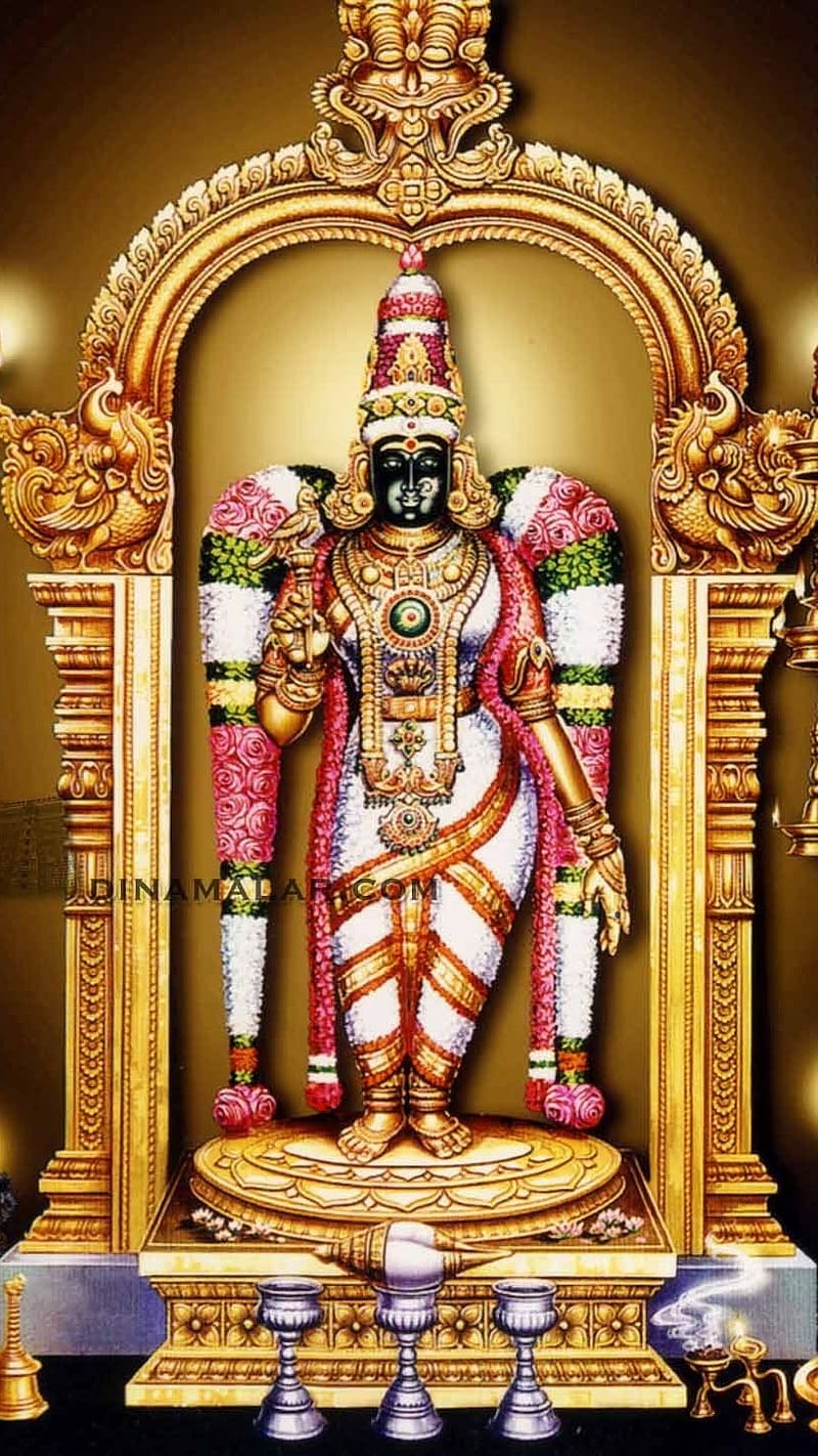 800x1422 Meenakshi Amman, Sundareswarar, lord, god, HD phone wallpaper