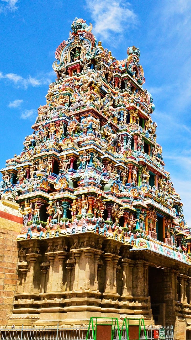 800x1422 Meenakshi Amman, temple amman, amman, lord, god, HD phone wallpaper