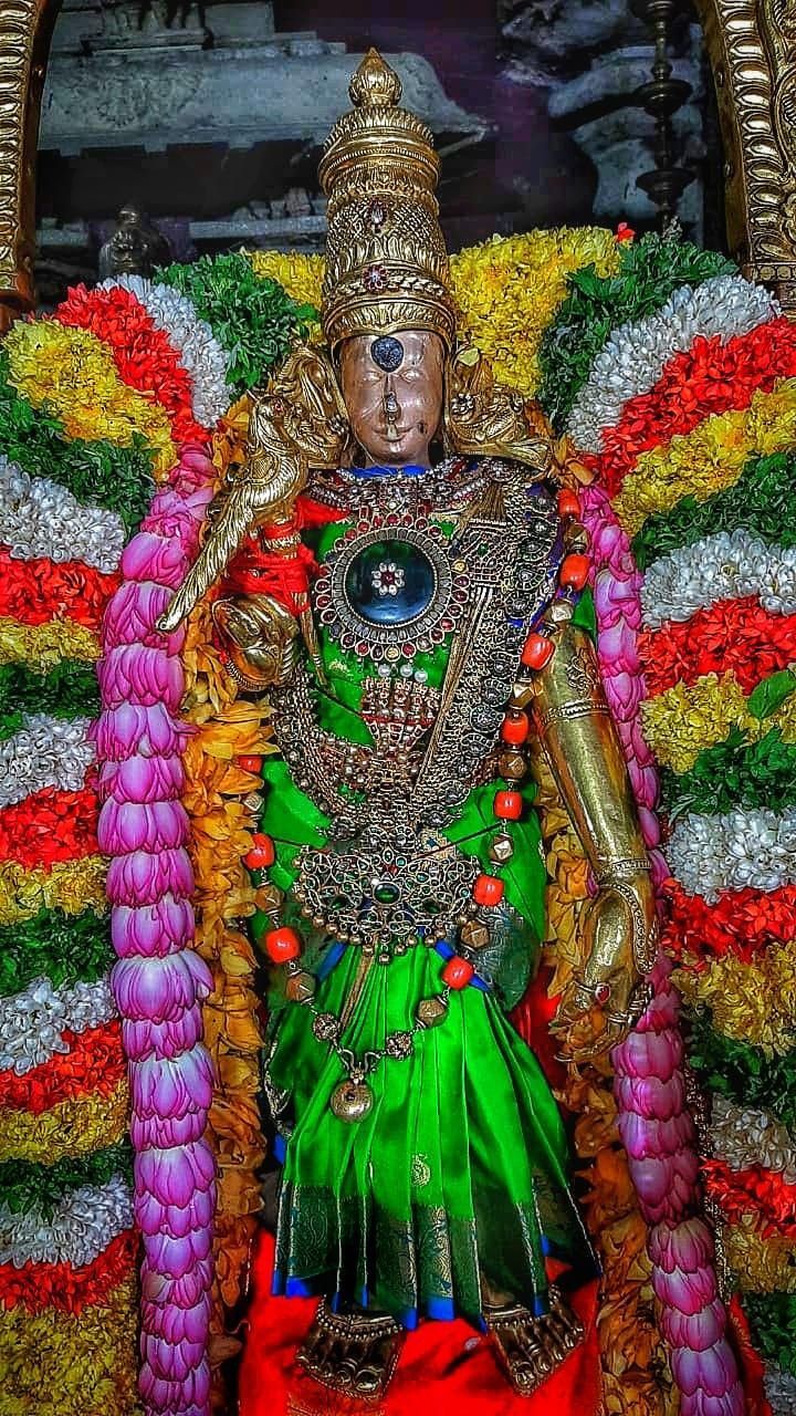 720x1280 Meenatchi amman image. Meenakshi thirukalyanam image, Indian gods, Indian art paintings