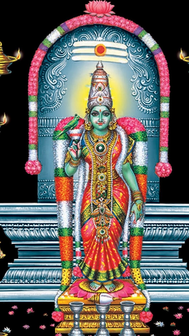 800x1422 Meenakshi Amman, madurai amman, madurai, amman, lord, god, HD phone wallpaper